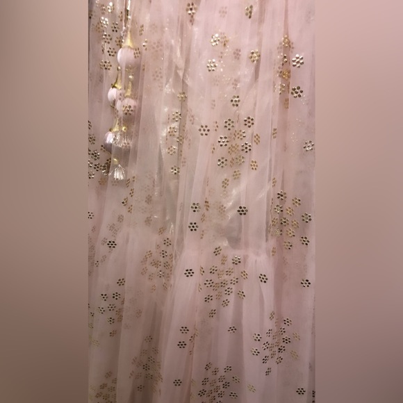 Light pink royal extremely heavy lehenga! - Picture 9 of 11